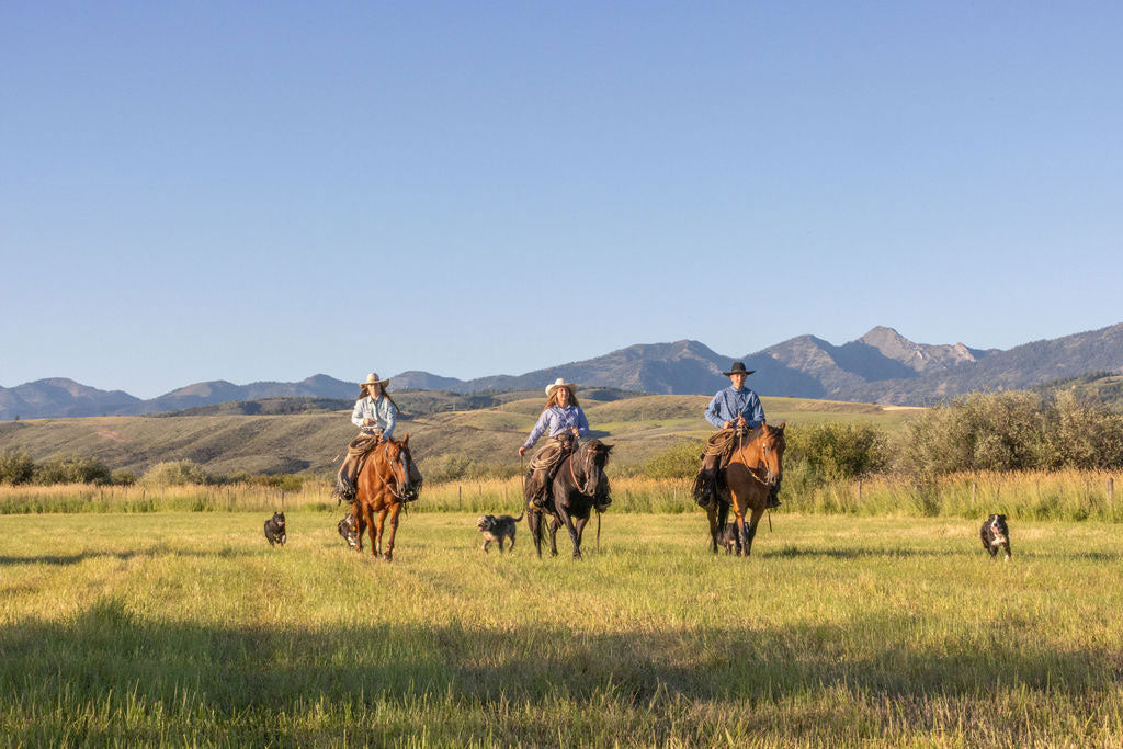 Cowboys Riding Across the Range – Stunning Western Scene with Three Horses