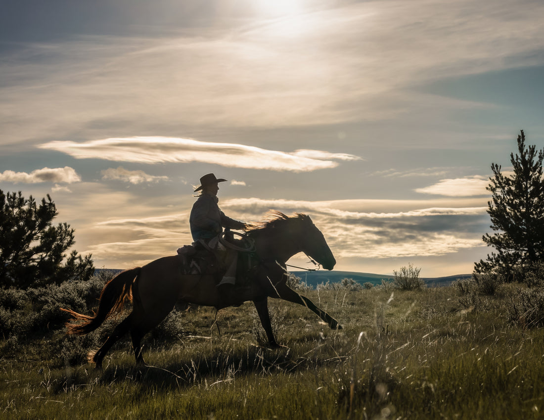 Gear That Holds Up: The Best Hats for Rodeo and Ranch Work