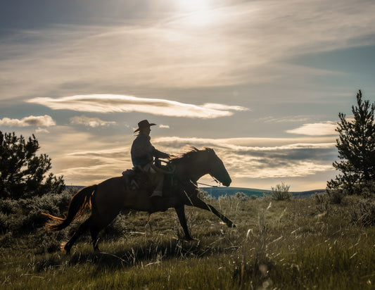 Gear That Holds Up: The Best Hats for Rodeo and Ranch Work