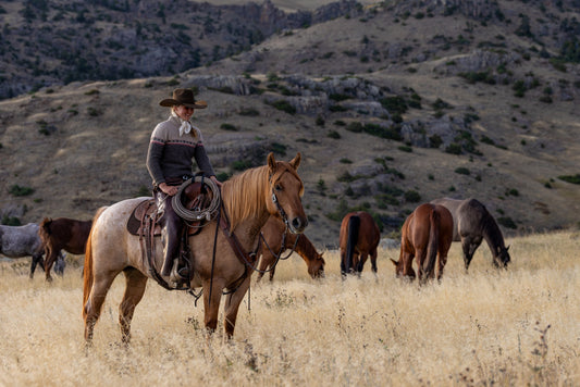 Best Cowboy Hats Under $180 (That Don’t Feel Cheap)