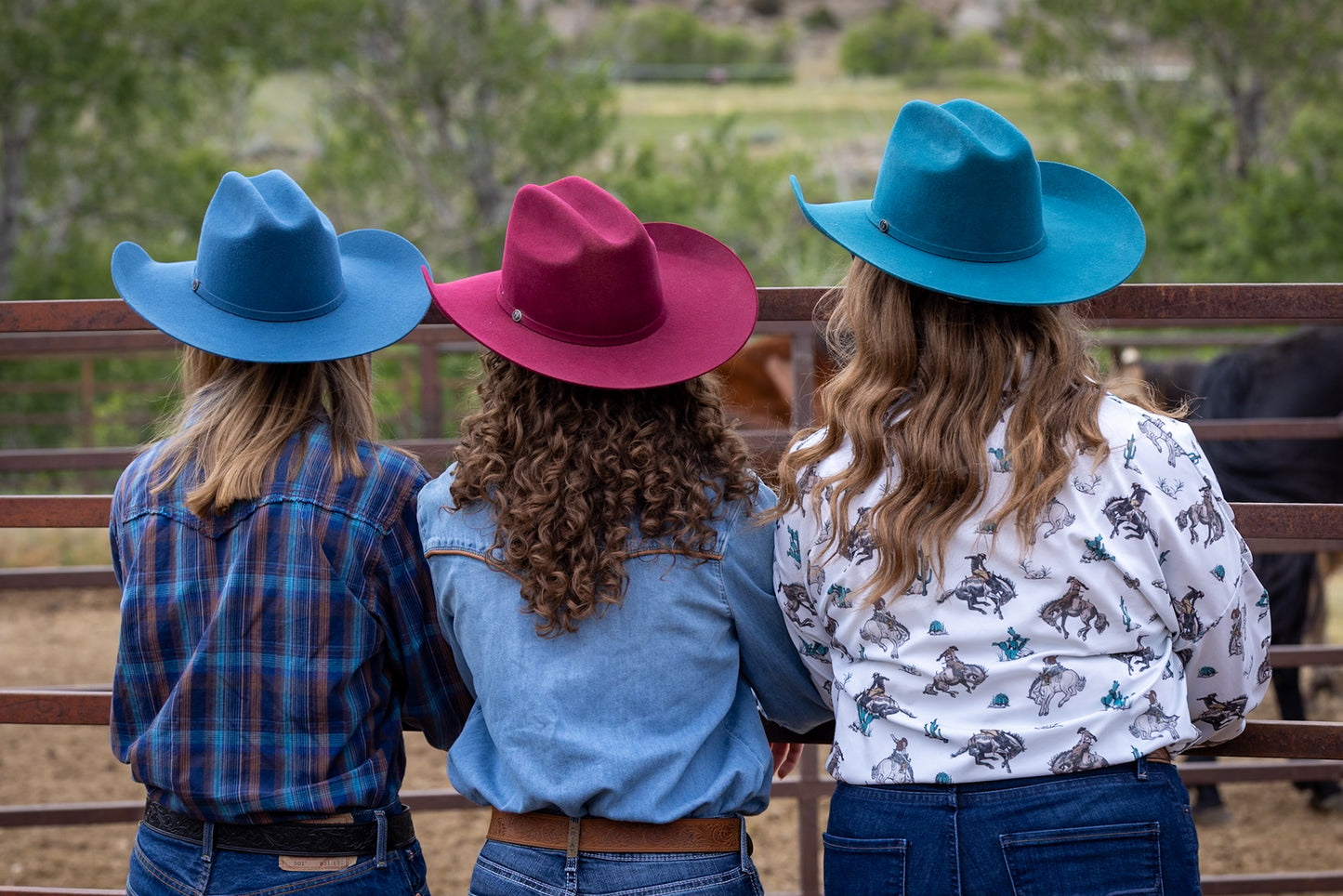 AMERICAN WINE 5X WOOL CATTLEMEN