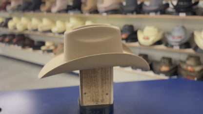 CODY CHESTNUT 5X WOOL CASHMERE