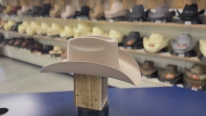 CODY SILVER BELLY 5X WOOL CASHMERE