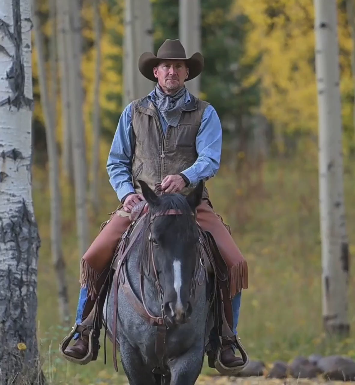 shop video.mp4 (trimmed)