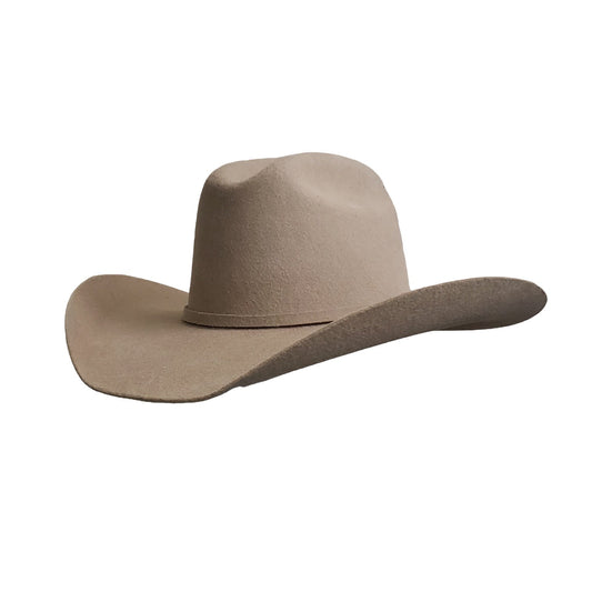 Yellowstone inspired cowboy hat